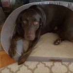 Timothy Booth - @roberttimothybooth - Instagram