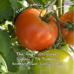 Robert Tims - @tims_familyfarm - Instagram
