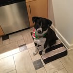 Robert Tims - @tims7139 - Instagram