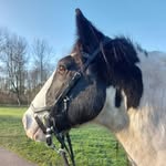 Robert - @robert_thetinker - Instagram