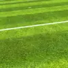robert.tips1 - @robert.tips1 - TikTok