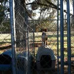 Robert Tisdale III - @rednecktripp - Instagram