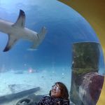 Robert Todd - @r.todd0806 - Instagram