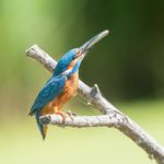 Robert Todd - @robert.todd.75457081 - Instagram