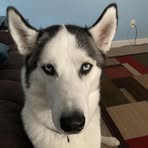 Bob Toepfer - Facebook