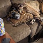 Laura Robert Toller - @ltoller0050 - Instagram