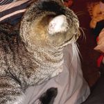 Robert Torrence - @torrence8308 - Instagram