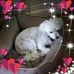 Robert H. Totman - Facebook