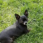 Robert Bob Tousignant - @robertbobtousignant - Instagram