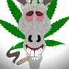 RobertoWells - @dabbingwithroberto - TikTok