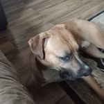 Ethan Robert trail - @ethanroberttrail - Instagram