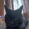 Robert_Trail - @robert_trail - TikTok