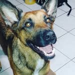 Robert Trail - @robert.trail - Instagram
