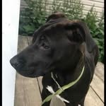 robert trammell - @robert_trammell1 - Instagram