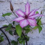 Robert Travers - @robert.travers.965 - Instagram