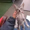 travizrob06 - @travis.robert0 - TikTok
