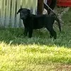 Robert Traylor - @robert.traylor2 - TikTok
