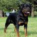 Robert Trego - Facebook