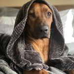 Robert Tremper - @robottremper - Instagram