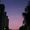 robert_than - @robert_than - TikTok