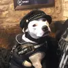 robert.trew365 - @robert.trew365 - TikTok