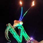 Robert Trick - @roberttrick - Instagram