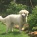 Robert Trick - Facebook