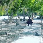 Robert Trinidad - @r_oberttrinidad - Instagram
