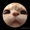 roberttrinidad - @roberttrinidad1 - TikTok