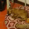 Roberto.Tripoli - @roberto.tripoli - TikTok