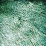 Robert Trone - @tronerobert - Instagram