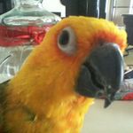 robert trottier - @roberttrottier - Instagram