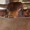 Robert Trowbridge - @robert.trowbridge90 - TikTok