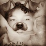 robert.trowbridge - @this_lonley_wolf - Instagram