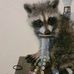 Robert Tubb - Facebook