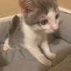 roberttubbs292 Hey - @roberttubbs292 - TikTok