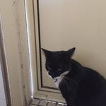 Robert Tune - @robert.tune.167 - Instagram