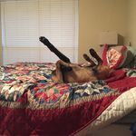 Robert Tune - @dogzowar12 - Instagram