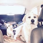 Robert Tussey - @ratussey - Instagram