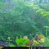 robertwetterow - @robertwetterow - TikTok