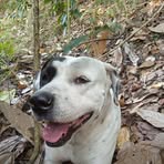 Robert Ty Rios - Facebook