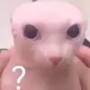 robertuber37 - @robertuber37 - TikTok