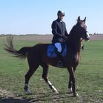 Robert Udalov - @robertudalov - Instagram