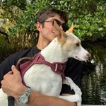 Robert Ulrich - @robertulrich_ - Instagram