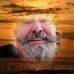 Robert Ulrich - Facebook