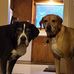 Robert Unruh - Facebook