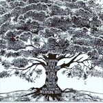 Robert Murbach - @murbachrobert - Instagram