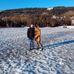 Robert Urbaniak - Facebook