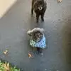 Robert Urbanski - @robert.urbanski53 - TikTok