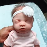 McRoberts Nursery - @mcrobertsnursery - Instagram